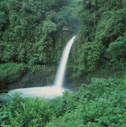 Cascata