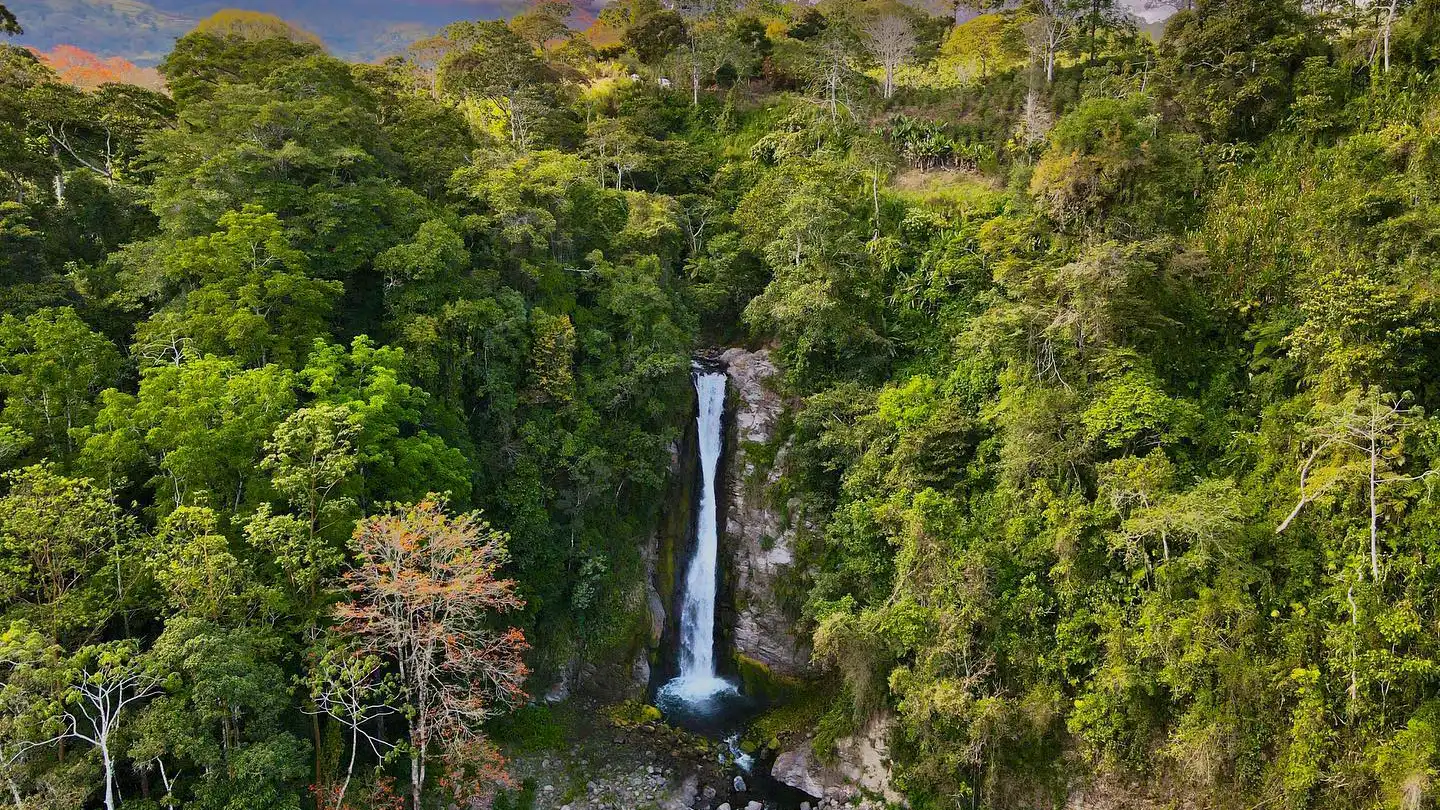 Uma queda de água no meio de uma floresta.