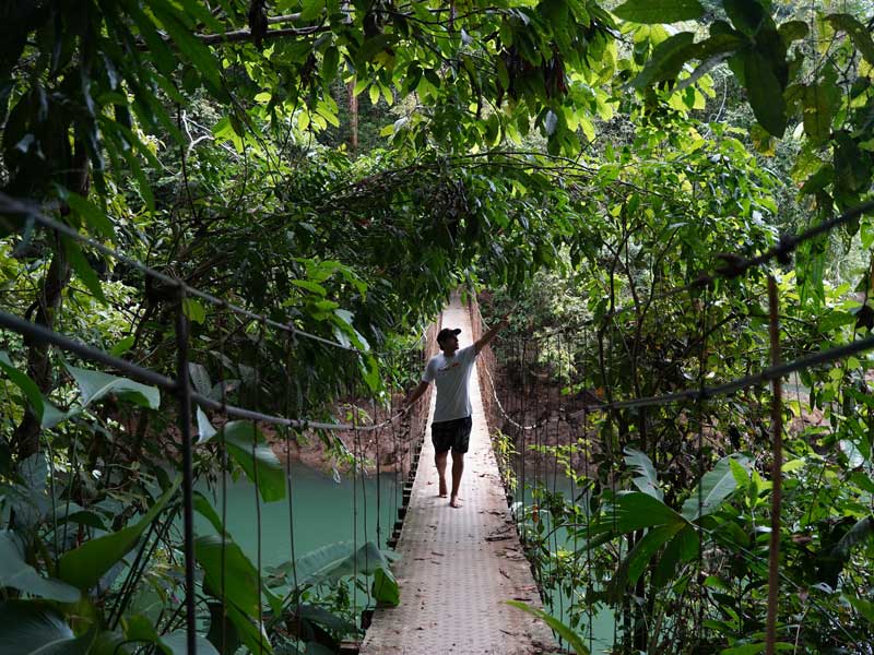 Um homem a atravessar uma ponte na selva