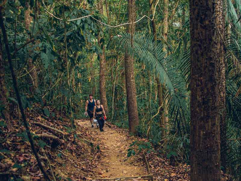 Um grupo de pessoas a caminhar numa floresta.