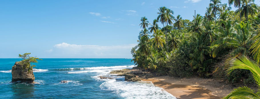 Uma praia tropical com palmeiras e um afloramento rochoso.