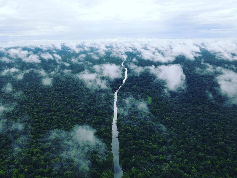 vista aérea do rio através da selva