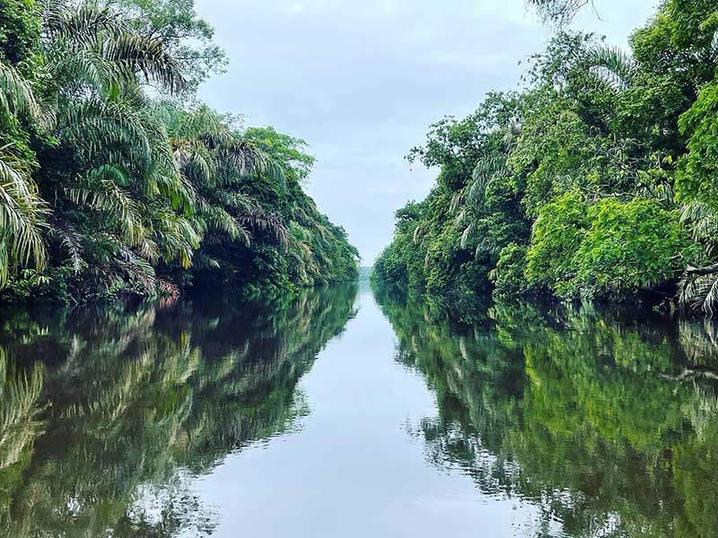 Um rio estreito rodeado de árvores verdejantes.