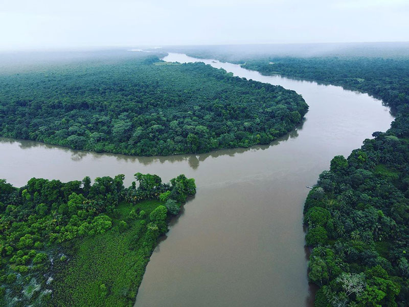 Um rio que corre através de uma floresta verdejante.