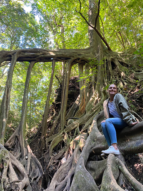 Uma mulher sentada no cimo de uma árvore numa floresta.