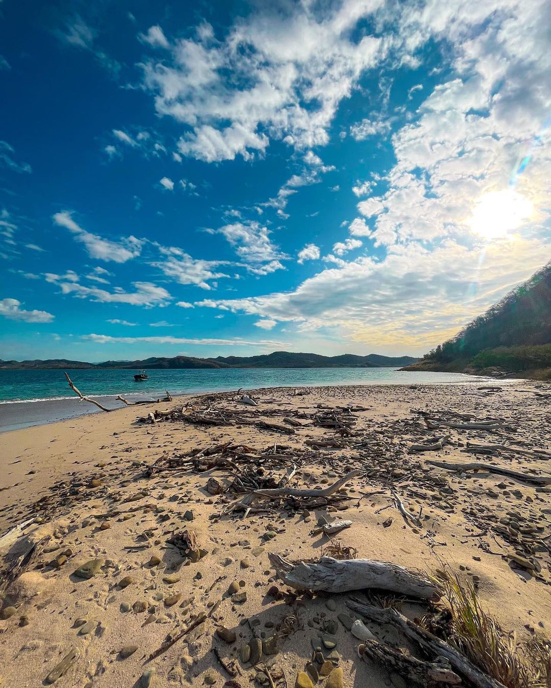 Uma praia com um monte de árvores.