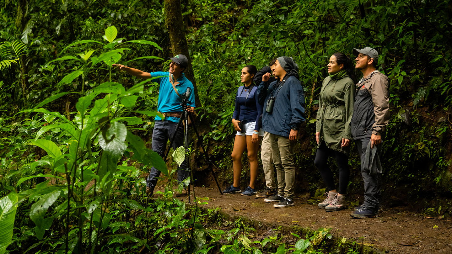 Reserva Biológica da Floresta Nublada de Monteverde