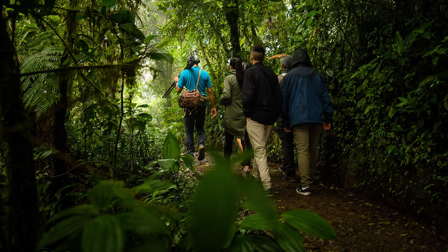 Reserva Biológica da Floresta Nublada de Monteverde 