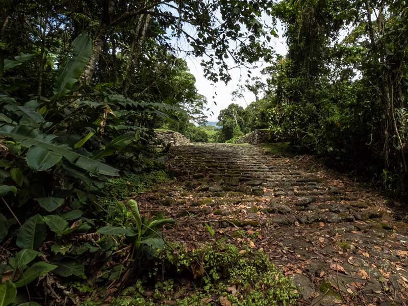 Uma estrada de terra no meio da selva.