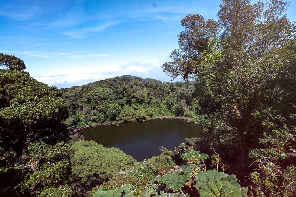 Vista aérea de um lago rodeado de árvores.