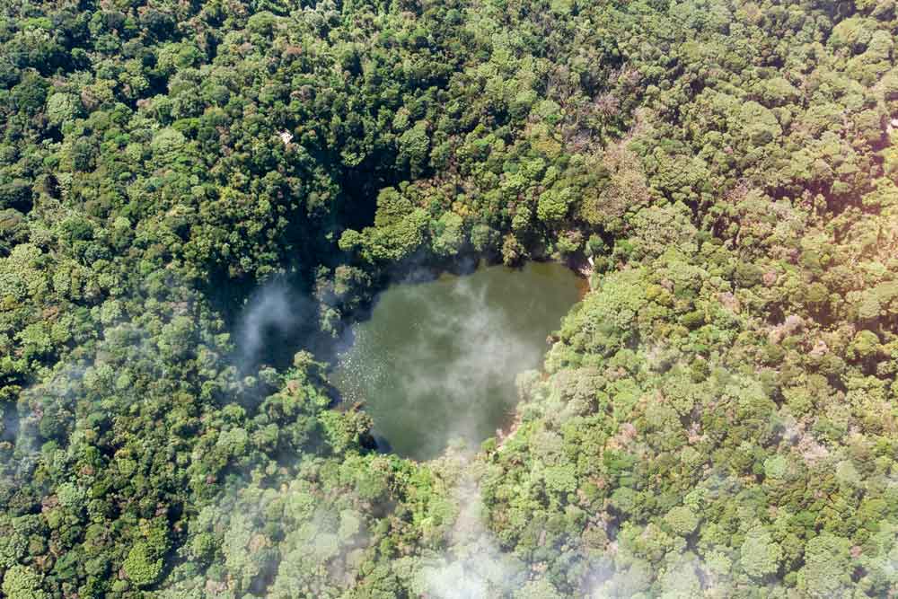 Vista aérea de um lago rodeado de árvores.