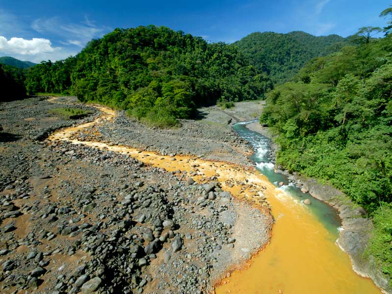Um rio que corre através de uma floresta verdejante.