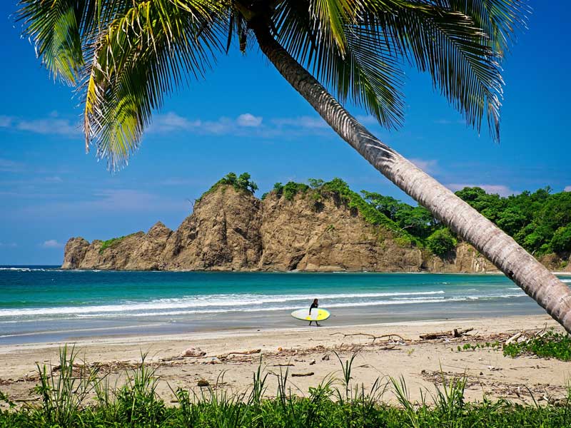 Uma pessoa a caminhar numa praia com uma prancha de surf debaixo de uma palmeira.