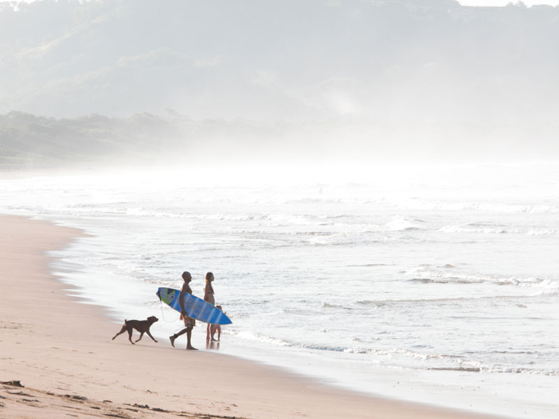 Um grupo de pessoas a passear numa praia com um cão.