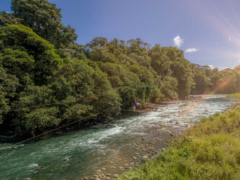 Um rio que corre através de uma floresta verdejante.