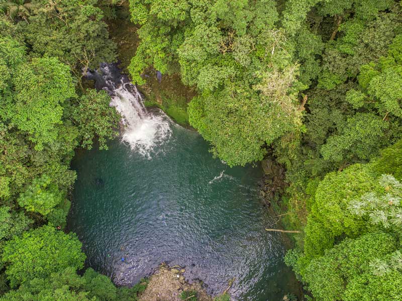 Um rio que corre através de uma floresta verdejante.