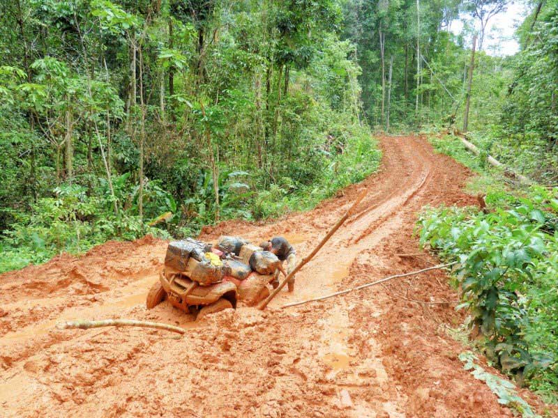 Uma pilha de troncos na berma de uma estrada de terra batida.