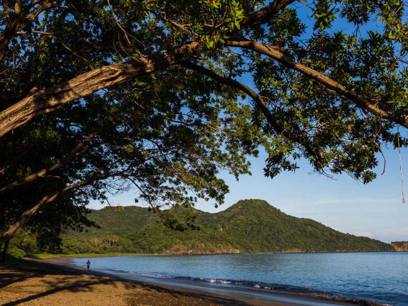 Uma pessoa a caminhar numa praia junto a uma massa de água.