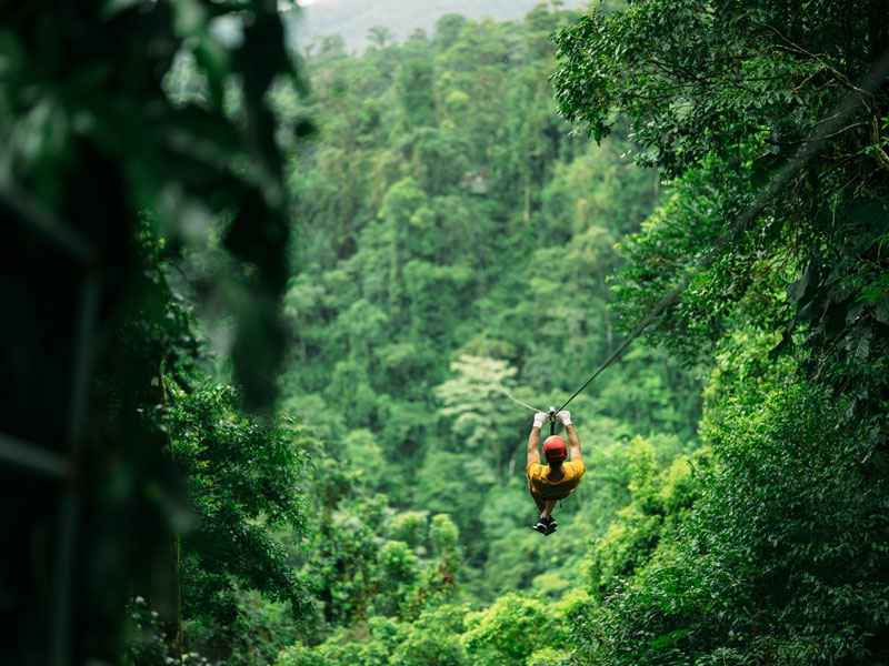 Um homem a andar numa tirolesa no meio de uma floresta.