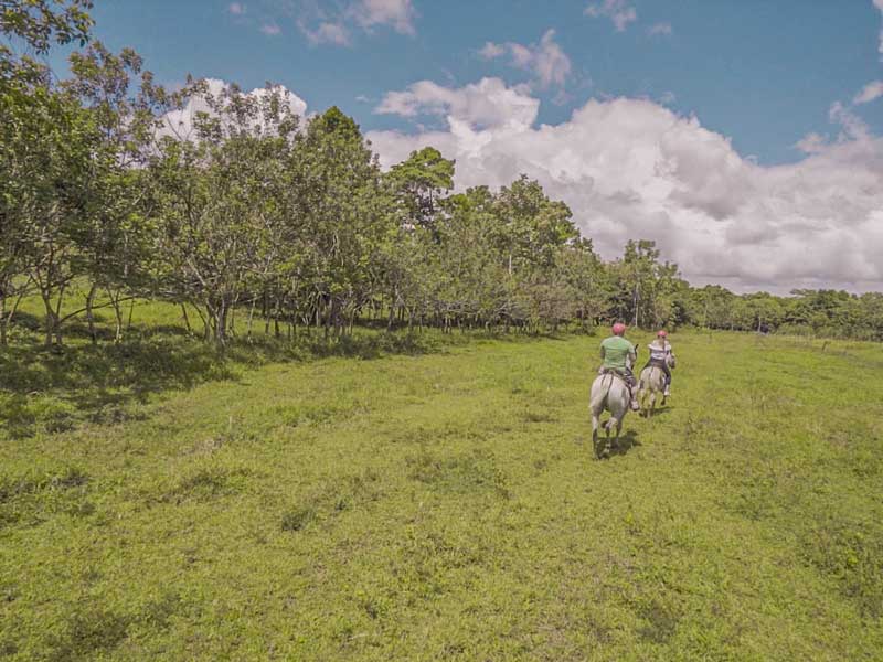 Duas pessoas a andar a cavalo num campo verdejante.