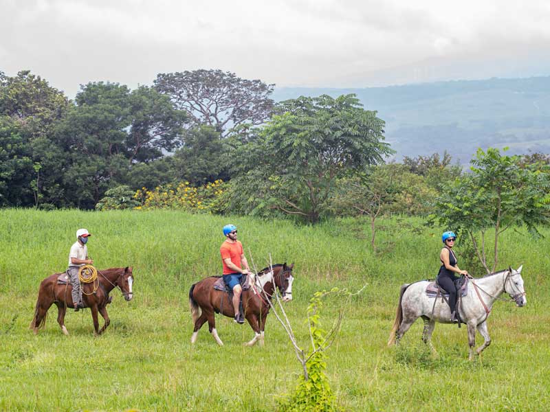 Um grupo de pessoas montadas em cavalos.