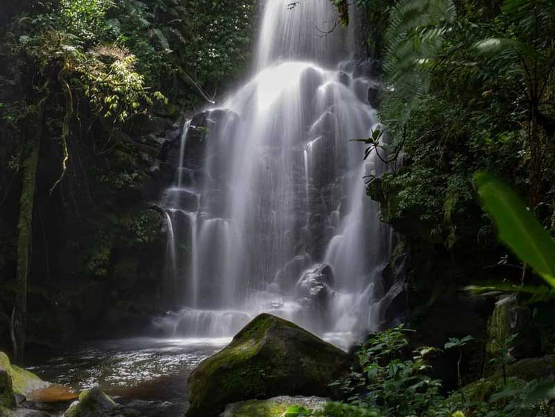 Uma grande queda de água no meio de uma floresta.