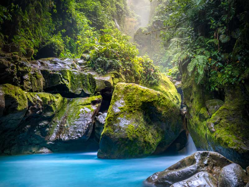 rochas com musgo e cascata na selva
