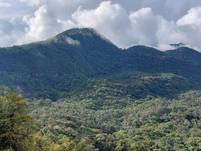 Uma cadeia de montanhas com árvores e nuvens em fundo. 