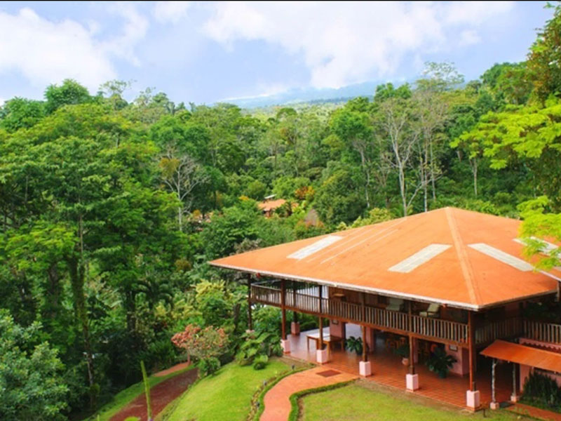 Uma casa no meio de uma floresta verdejante.