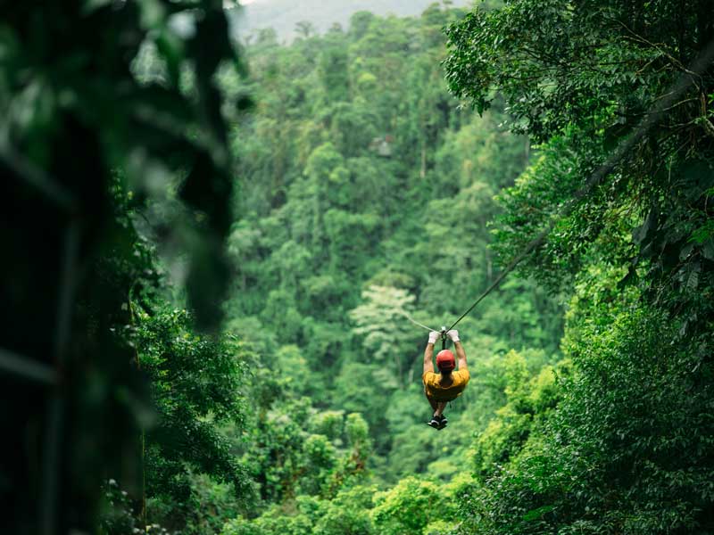 Um homem a andar numa tirolesa no meio de uma floresta.