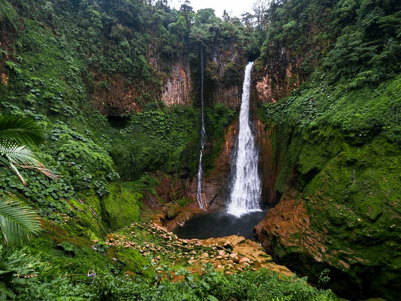 Uma queda de água no meio de uma floresta verdejante.