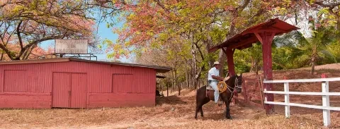 Um homem a cavalo num cenário rural a promover o turismo rural
