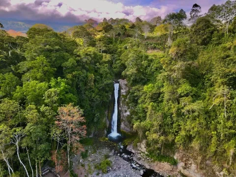 vista aérea de uma cascata na selva