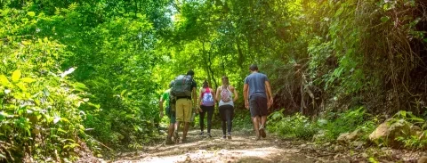 grupo de pessoas a caminhar num trilho