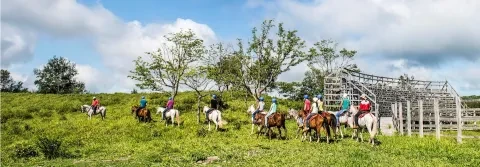 grupo de pessoas a andar a cavalo