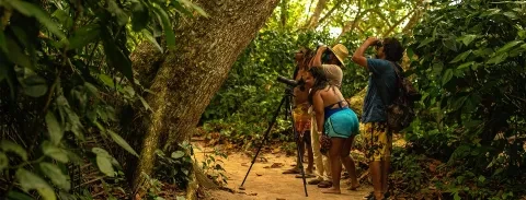turistas