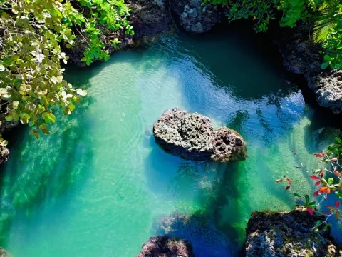vista aérea de Cahuita 