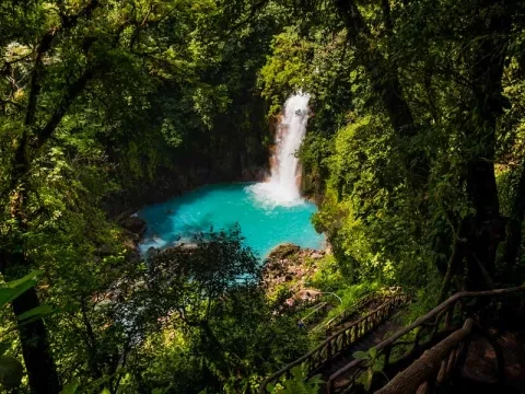 cachoeira na selva
