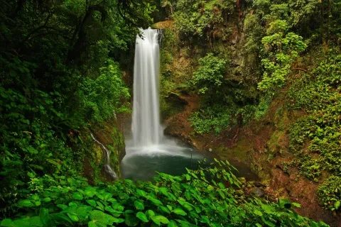 Jardins da Cascata de La Paz, com uma floresta tropical verdejante no Vale Central, Costa Rica