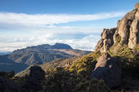 Paisagem numa bela manhã com vegetação de paramo no Parque Nacional de Chirripo
