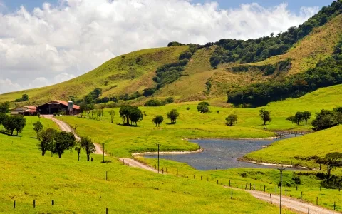 planícies do norte com vacas