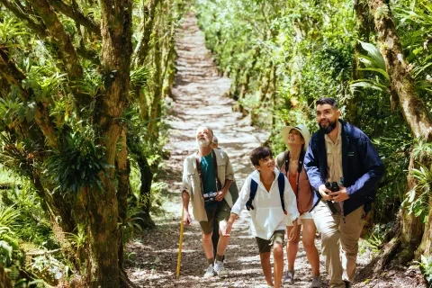 caminhadas em grupo e observação de aves