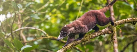 Biodiversidade-Brochura-2.jpg
