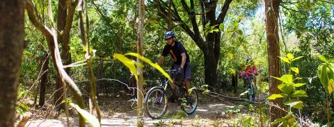 banner-top-biking-3.jpg