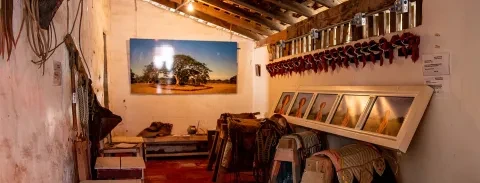 banner-top-liberia-caminatas.jpg
