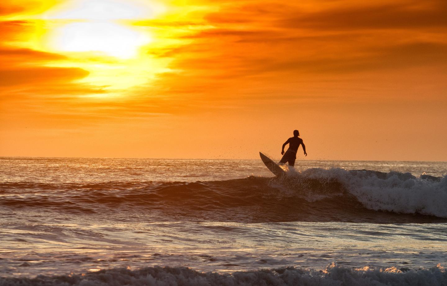 surf<br>