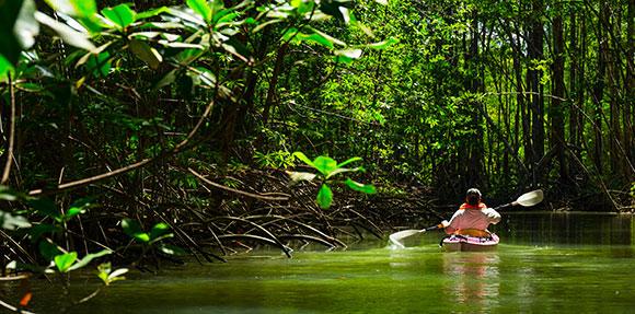 caiaque na selva