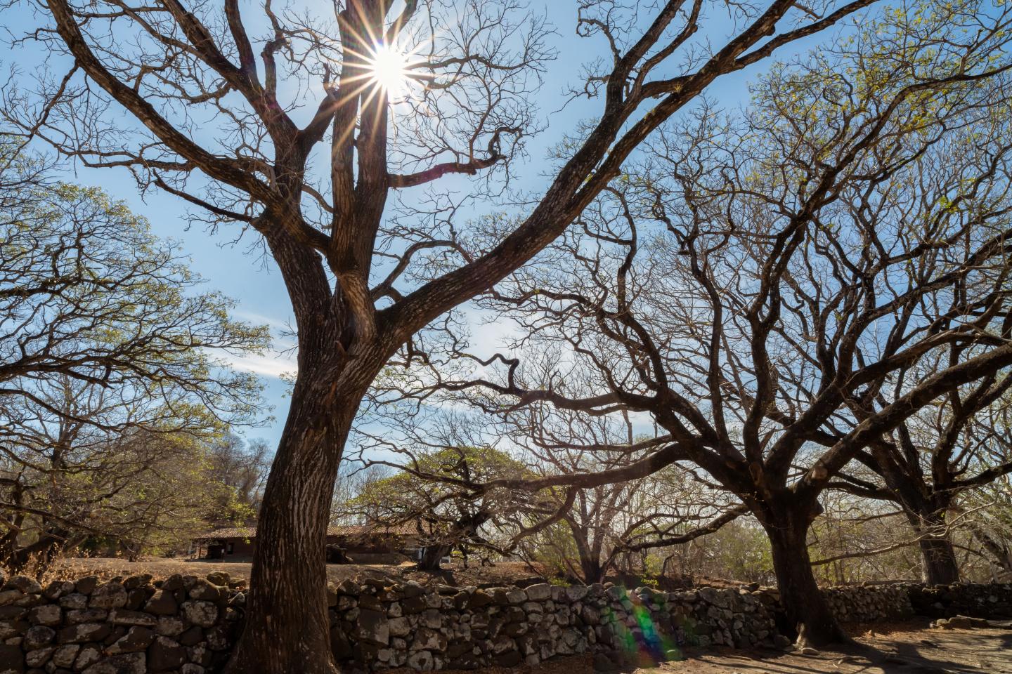 Parque Nacional de Santa Rosa