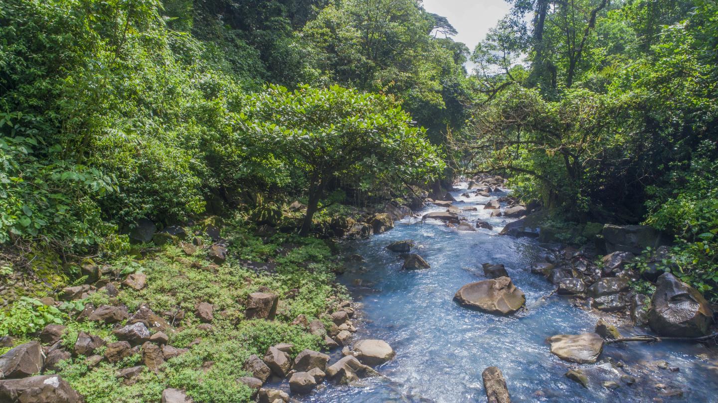 Rio Celeste no Parque Nacional do Vulcão Tenório