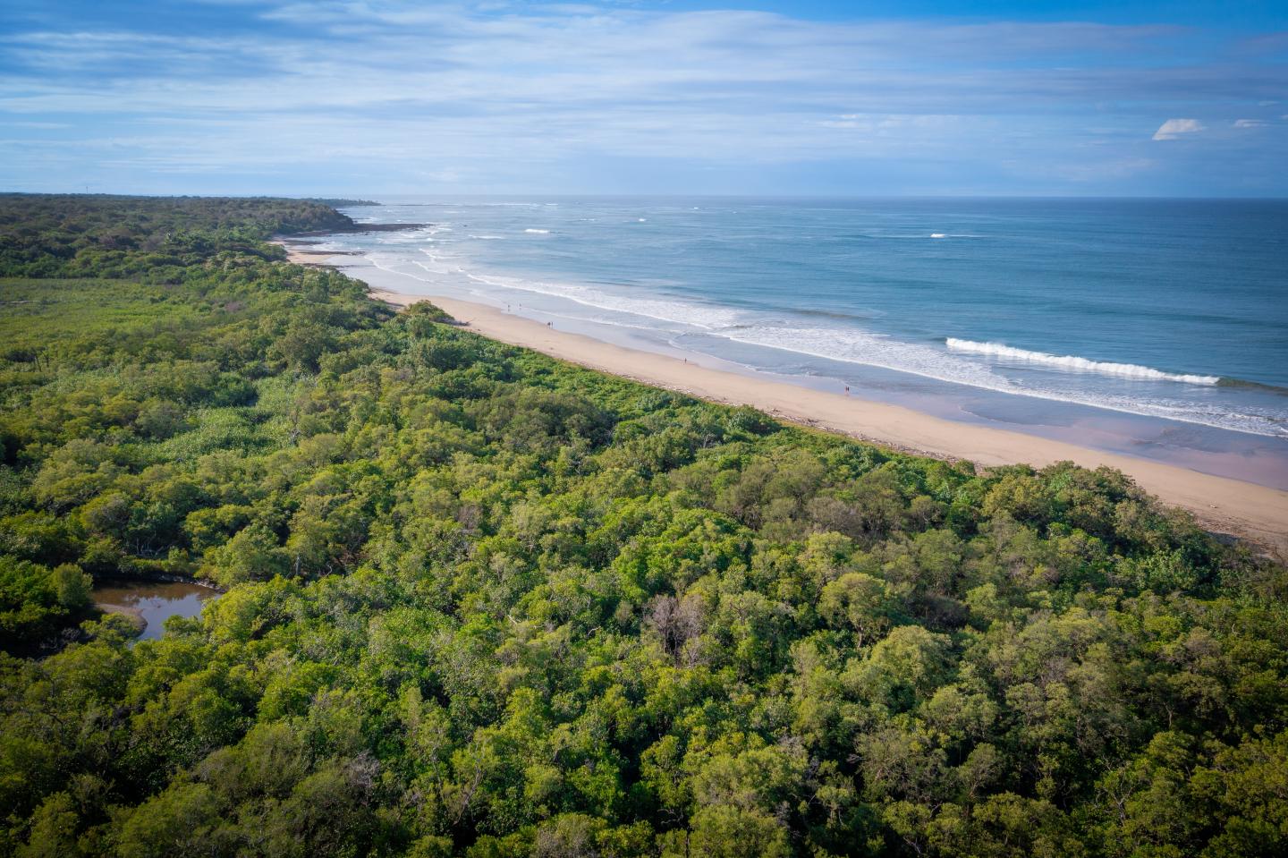 Bela praia, mar, horizonte e manguezais em Guanacaste, Costa Rica, foto aérea